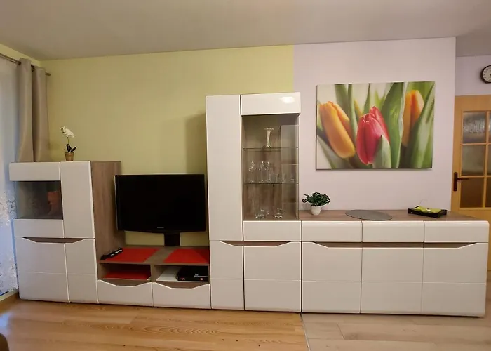 Apartment Przytulne Miejsce Do Odpoczynku I Pracy.